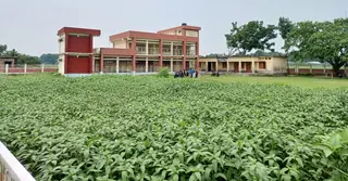 ব্যক্তি মালিকানার জমিতে বিদ্যালয়ের সীমানাপ্রাচীর; দুই বছর পর গোপন সমঝোতার অভিযোগ